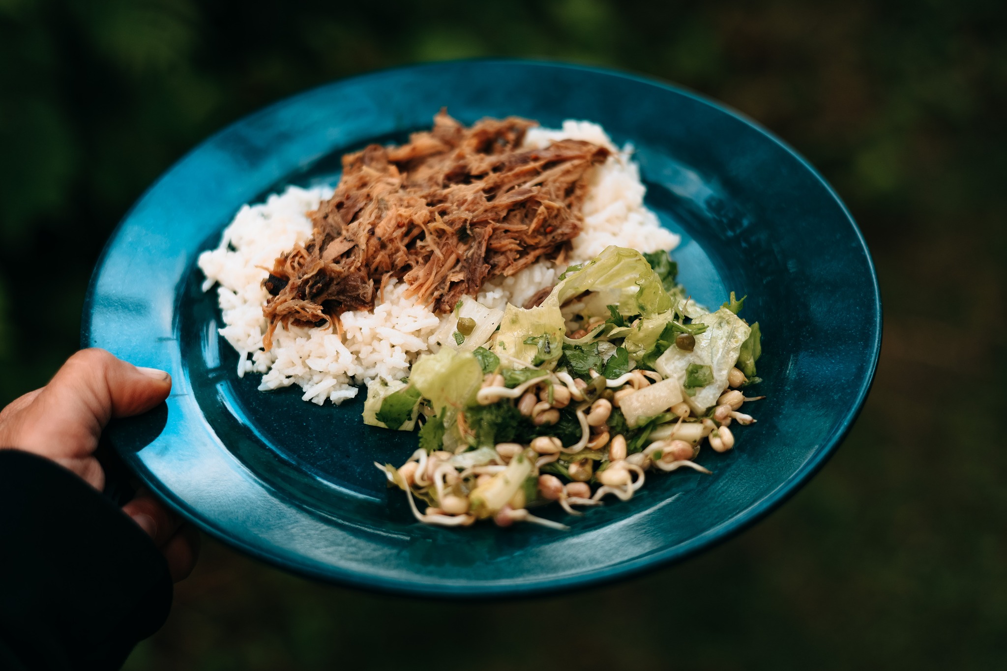 Repas sain dans une assiette bleue avec germes et riz et viande effilochée